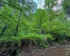 TBD Right Hand Road, Pine Grove, West Virginia 26419, ,Lots/land,For Sale,Right Hand,10159923
