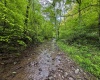 TBD Right Hand Road, Pine Grove, West Virginia 26419, ,Lots/land,For Sale,Right Hand,10159923