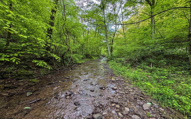 TBD Right Hand Road, Pine Grove, West Virginia 26419, ,Lots/land,For Sale,Right Hand,10159923