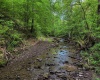 TBD Right Hand Road, Pine Grove, West Virginia 26419, ,Lots/land,For Sale,Right Hand,10159923