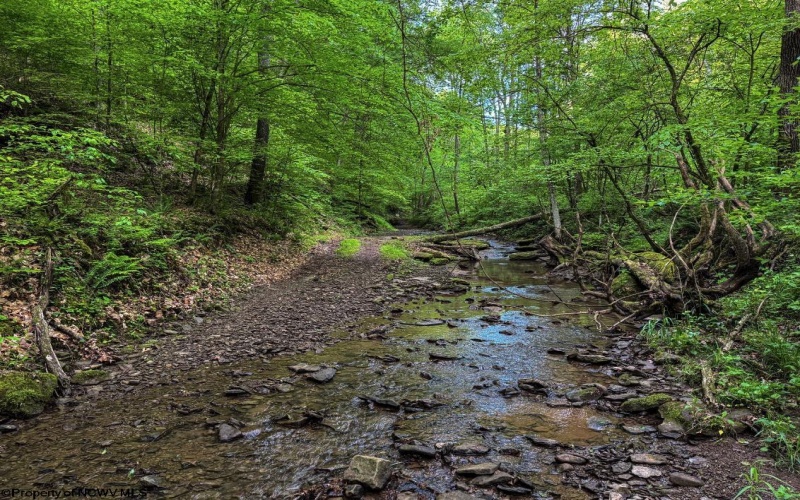 TBD Right Hand Road, Pine Grove, West Virginia 26419, ,Lots/land,For Sale,Right Hand,10159923