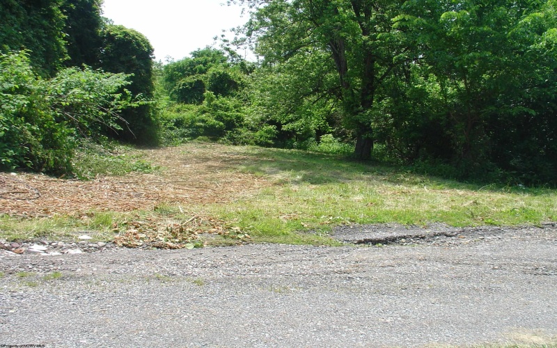 Lot 17 Summit Street, Osage, West Virginia 26543, ,Lots/land,For Sale,Summit,10159950