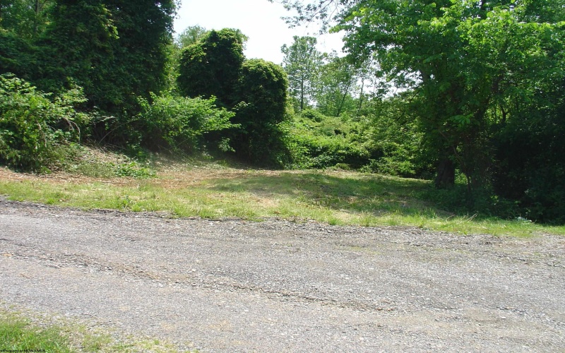 Lot 17 Summit Street, Osage, West Virginia 26543, ,Lots/land,For Sale,Summit,10159950