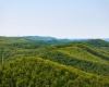 Lot 15 Little Mountain Road, Oakland, Maryland 21550, ,Lots/land,For Sale,Little Mountain,10159952