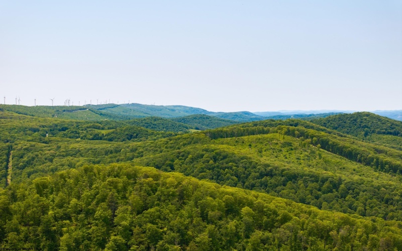Lot 15 Little Mountain Road, Oakland, Maryland 21550, ,Lots/land,For Sale,Little Mountain,10159952