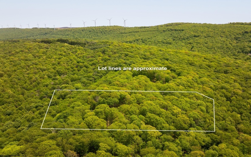 Lot 15 Little Mountain Road, Oakland, Maryland 21550, ,Lots/land,For Sale,Little Mountain,10159952