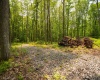 Lot 15 Little Mountain Road, Oakland, Maryland 21550, ,Lots/land,For Sale,Little Mountain,10159952