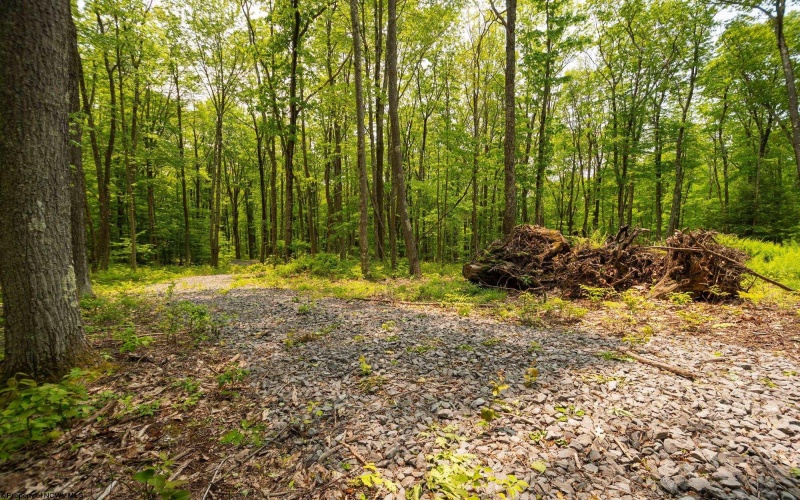 Lot 15 Little Mountain Road, Oakland, Maryland 21550, ,Lots/land,For Sale,Little Mountain,10159952