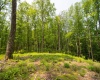 Lot 15 Little Mountain Road, Oakland, Maryland 21550, ,Lots/land,For Sale,Little Mountain,10159952