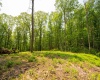 Lot 15 Little Mountain Road, Oakland, Maryland 21550, ,Lots/land,For Sale,Little Mountain,10159952