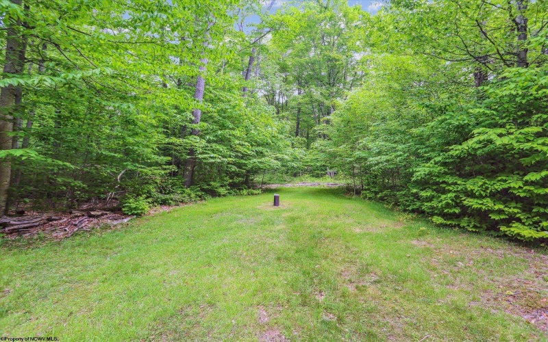 332 Maple Avenue, Davis, West Virginia 26260, 4 Bedrooms Bedrooms, 6 Rooms Rooms,2 BathroomsBathrooms,Single Family Detached,For Sale,Maple,10159942