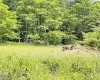 873 Arlie Simmons Road, Franklin, West Virginia 26807, ,Lots/land,For Sale,Arlie Simmons,10159958
