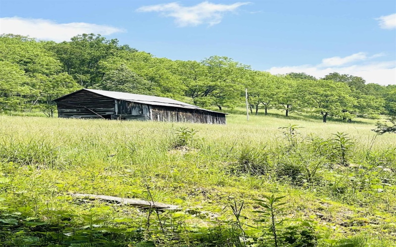 873 Arlie Simmons Road, Franklin, West Virginia 26807, ,Lots/land,For Sale,Arlie Simmons,10159958