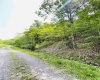 873 Arlie Simmons Road, Franklin, West Virginia 26807, ,Lots/land,For Sale,Arlie Simmons,10159958
