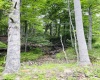 873 Arlie Simmons Road, Franklin, West Virginia 26807, ,Lots/land,For Sale,Arlie Simmons,10159958