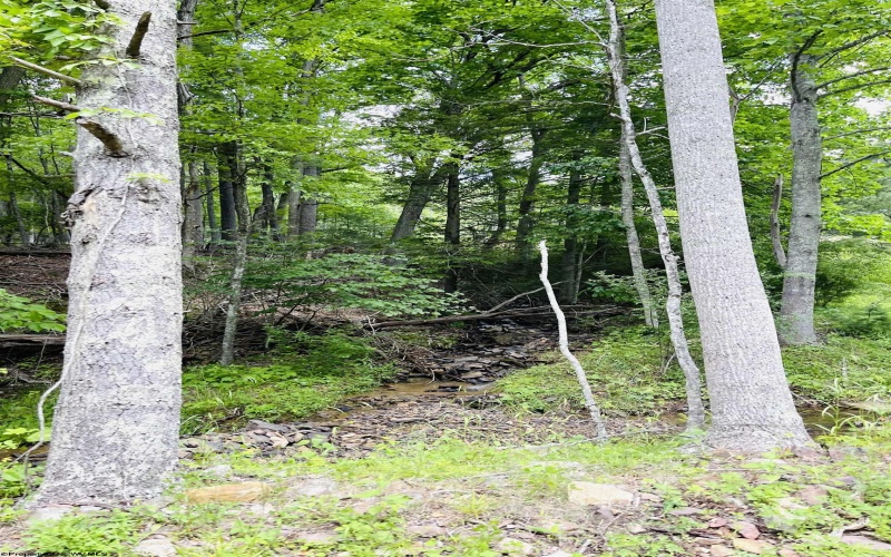 873 Arlie Simmons Road, Franklin, West Virginia 26807, ,Lots/land,For Sale,Arlie Simmons,10159958