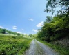 873 Arlie Simmons Road, Franklin, West Virginia 26807, ,Lots/land,For Sale,Arlie Simmons,10159958