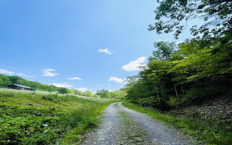 873 Arlie Simmons Road, Franklin, West Virginia 26807, ,Lots/land,For Sale,Arlie Simmons,10159958