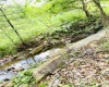 873 Arlie Simmons Road, Franklin, West Virginia 26807, ,Lots/land,For Sale,Arlie Simmons,10159958