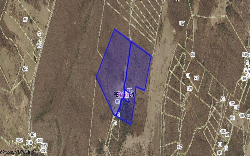 873 Arlie Simmons Road, Franklin, West Virginia 26807, ,Lots/land,For Sale,Arlie Simmons,10159958