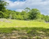873 Arlie Simmons Road, Franklin, West Virginia 26807, ,Lots/land,For Sale,Arlie Simmons,10159958