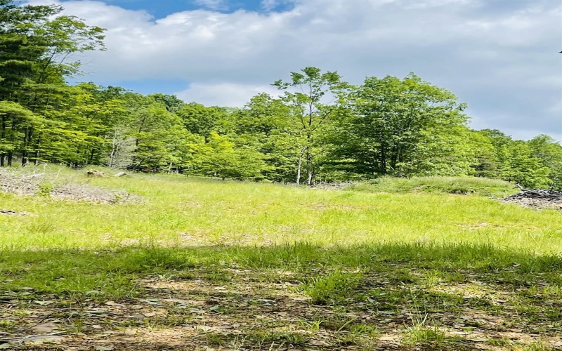 873 Arlie Simmons Road, Franklin, West Virginia 26807, ,Lots/land,For Sale,Arlie Simmons,10159958
