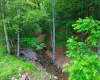873 Arlie Simmons Road, Franklin, West Virginia 26807, ,Lots/land,For Sale,Arlie Simmons,10159958