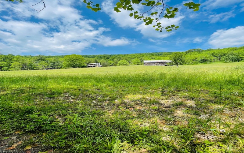 873 Arlie Simmons Road, Franklin, West Virginia 26807, ,Lots/land,For Sale,Arlie Simmons,10159958