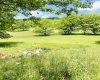 873 Arlie Simmons Road, Franklin, West Virginia 26807, ,Lots/land,For Sale,Arlie Simmons,10159958