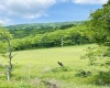 873 Arlie Simmons Road, Franklin, West Virginia 26807, ,Lots/land,For Sale,Arlie Simmons,10159958
