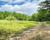 873 Arlie Simmons Road, Franklin, West Virginia 26807, ,Lots/land,For Sale,Arlie Simmons,10159958