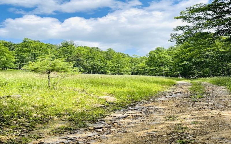 873 Arlie Simmons Road, Franklin, West Virginia 26807, ,Lots/land,For Sale,Arlie Simmons,10159958