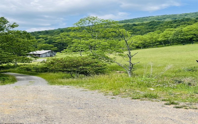 873 Arlie Simmons Road, Franklin, West Virginia 26807, ,Lots/land,For Sale,Arlie Simmons,10159958
