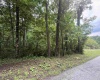 Lot 1 ROCHELLE Road, Grafton, West Virginia 26354, ,Lots/land,For Sale,ROCHELLE,10159978