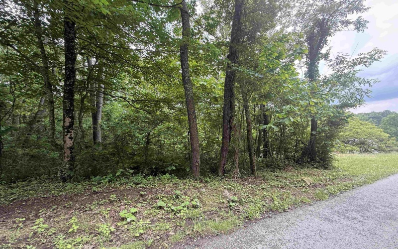 Lot 1 ROCHELLE Road, Grafton, West Virginia 26354, ,Lots/land,For Sale,ROCHELLE,10159978