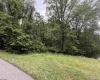 Lot 1 ROCHELLE Road, Grafton, West Virginia 26354, ,Lots/land,For Sale,ROCHELLE,10159978
