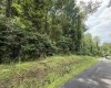 TBD DEWY Avenue, Grafton, West Virginia 26354, ,Lots/land,For Sale,DEWY,10159973