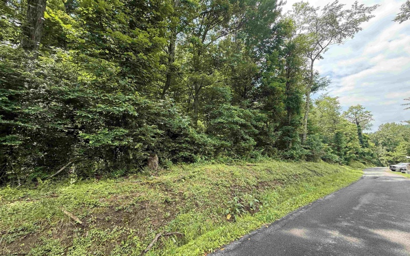 TBD DEWY Avenue, Grafton, West Virginia 26354, ,Lots/land,For Sale,DEWY,10159973