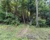 TBD DEWY Avenue, Grafton, West Virginia 26354, ,Lots/land,For Sale,DEWY,10159973