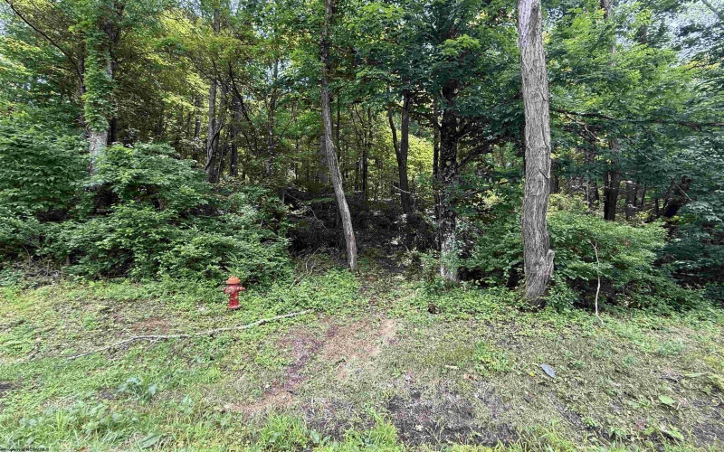 TBD DEWY Avenue, Grafton, West Virginia 26354, ,Lots/land,For Sale,DEWY,10159973