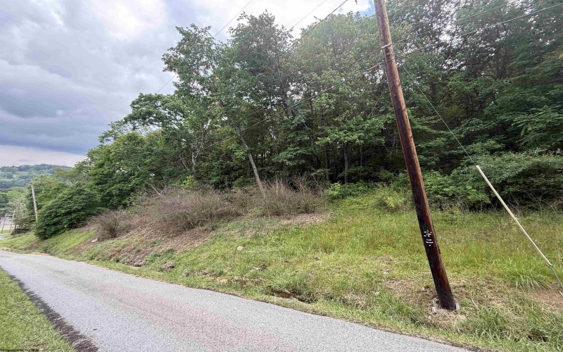 0 ROCHELLE Road, Grafton, West Virginia 26354, ,Lots/land,For Sale,ROCHELLE,10159972