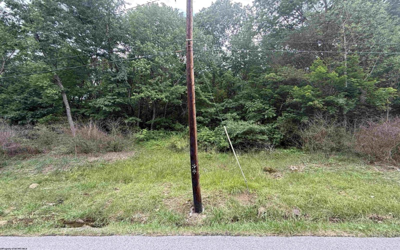 0 ROCHELLE Road, Grafton, West Virginia 26354, ,Lots/land,For Sale,ROCHELLE,10159972