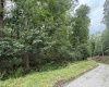 TBD ROCHELLE Road, Grafton, West Virginia 26354, ,Lots/land,For Sale,ROCHELLE,10159975