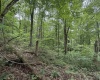 TBD ROCHELLE Road, Grafton, West Virginia 26354, ,Lots/land,For Sale,ROCHELLE,10159975