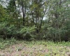 TBD ROCHELLE Road, Grafton, West Virginia 26354, ,Lots/land,For Sale,ROCHELLE,10159975