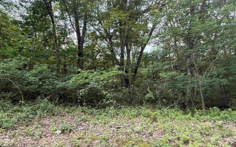TBD ROCHELLE Road, Grafton, West Virginia 26354, ,Lots/land,For Sale,ROCHELLE,10159975