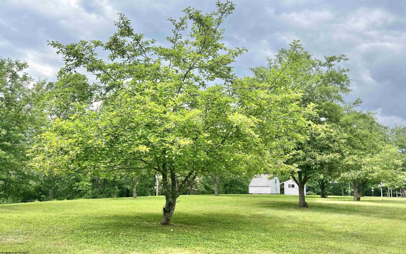 200 Heckel Lane, Elkins, West Virginia 26241, 3 Bedrooms Bedrooms, 10 Rooms Rooms,2 BathroomsBathrooms,Single Family Detached,For Sale,Heckel,10159969
