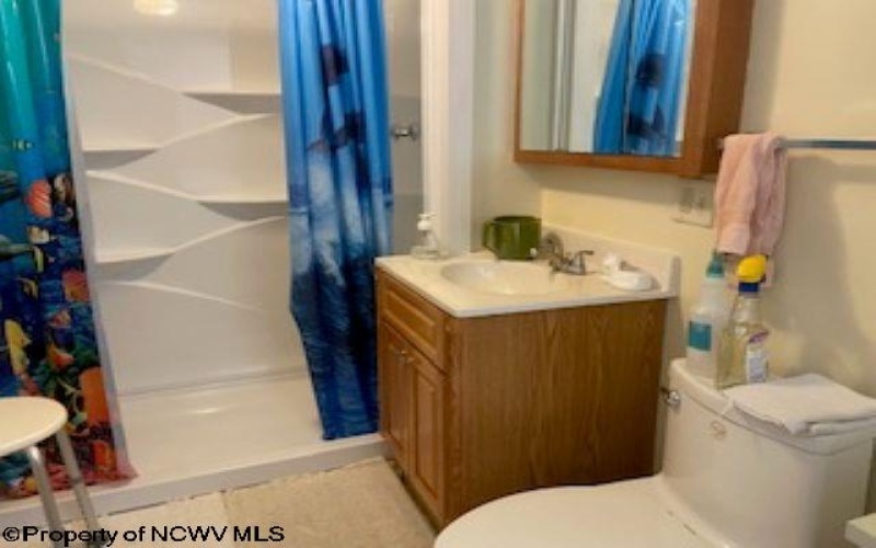 310 Hedge Street, Clarksburg, West Virginia 26301-2630, 3 Bedrooms Bedrooms, 8 Rooms Rooms,2 BathroomsBathrooms,Single Family Detached,For Sale,Hedge,10160004