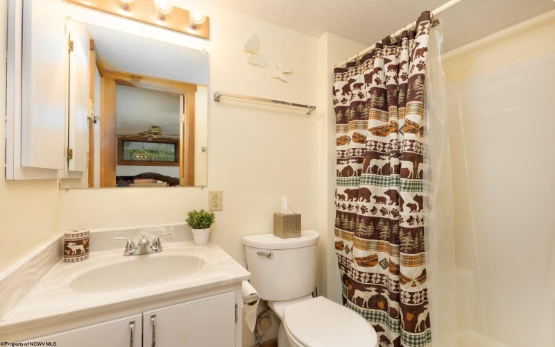 135 Pond Lily Lane, Terra Alta, West Virginia 26764, 3 Bedrooms Bedrooms, 6 Rooms Rooms,2 BathroomsBathrooms,Single Family Detached,For Sale,Pond Lily,10160003