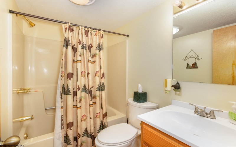135 Pond Lily Lane, Terra Alta, West Virginia 26764, 3 Bedrooms Bedrooms, 6 Rooms Rooms,2 BathroomsBathrooms,Single Family Detached,For Sale,Pond Lily,10160003
